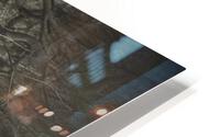 703 HD Metal print
