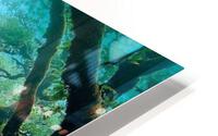 710 HD Metal print