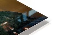 722 HD Metal print