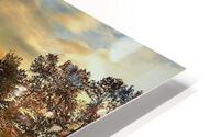 726 HD Metal print