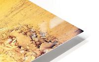 794 HD Metal print
