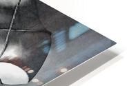 809 HD Metal print