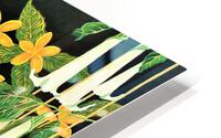 814 HD Metal print