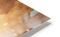 827 HD Metal print