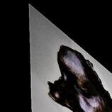828 HD Metal print