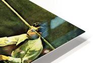 850 HD Metal print