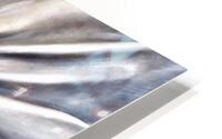 855 HD Metal print