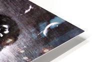 868 HD Metal print
