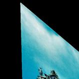 893 HD Metal print