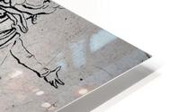 898 HD Metal print