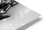 907 HD Metal print