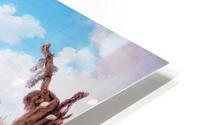 909 HD Metal print