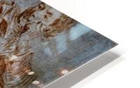 916 HD Metal print
