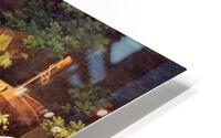 918 HD Metal print