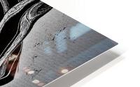 949 HD Metal print