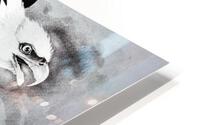 952 HD Metal print
