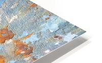 960 HD Metal print