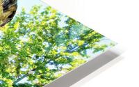 977 HD Metal print