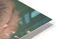 1019 HD Metal print
