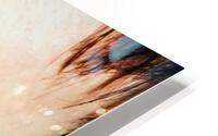 1032 HD Metal print