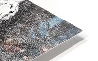 1054 HD Metal print
