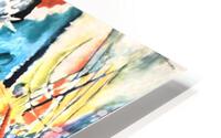 1071 HD Metal print