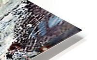 1106 HD Metal print
