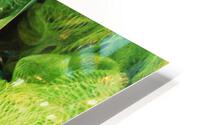 1108 HD Metal print