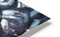 1110 HD Metal print