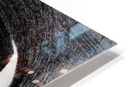 1119 HD Metal print