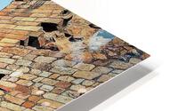 1130 HD Metal print