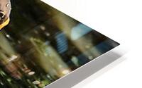 1165 HD Metal print