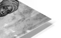 1171 HD Metal print