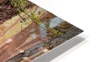 1184 HD Metal print