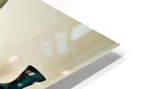 1202 HD Metal print