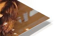 1203 HD Metal print