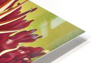 1224 HD Metal print