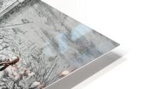 1237 HD Metal print
