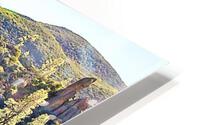 1257 HD Metal print