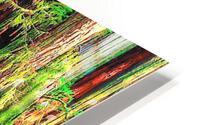 1259 HD Metal print
