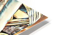 1273 HD Metal print