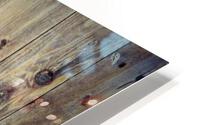 1333 HD Metal print