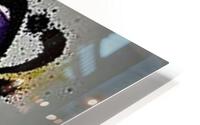 1365 HD Metal print