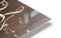 1383 HD Metal print