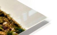1395 HD Metal print