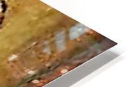 1400 HD Metal print