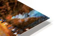 1429 HD Metal print
