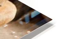 1438 HD Metal print