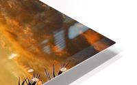 1484 HD Metal print