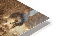 1495 HD Metal print